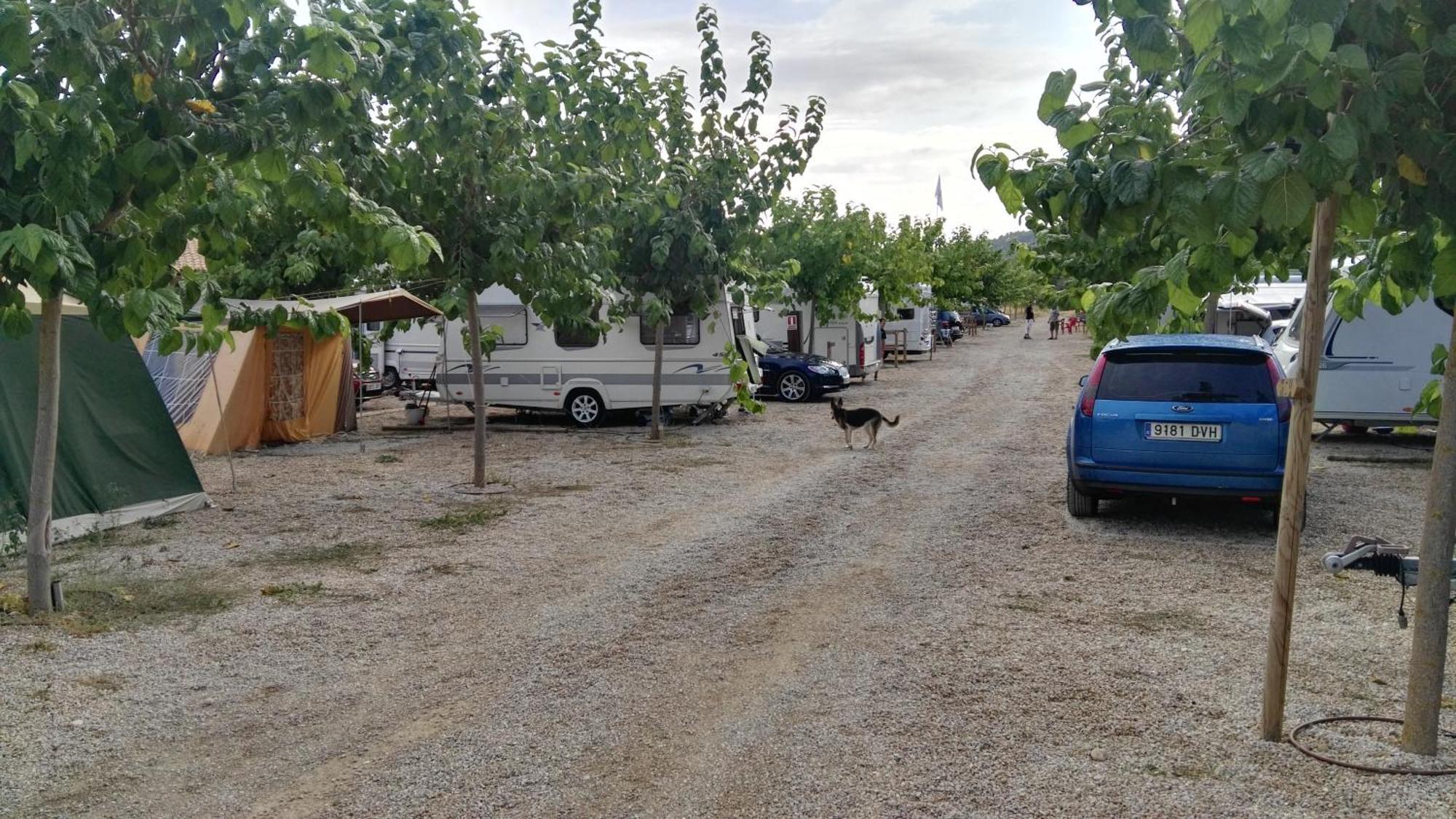 Camping El Roble 발데로브레스 객실 사진